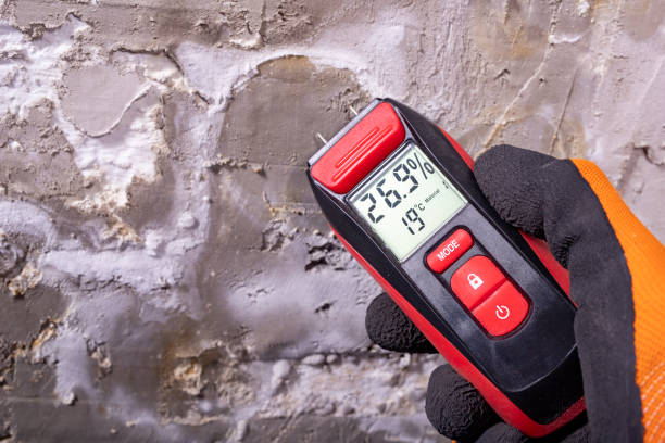 Reliable University Of California Santa Barbara, CA Mold Removal Solutions